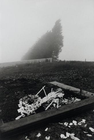 Chinese Cemetery, San Francisco