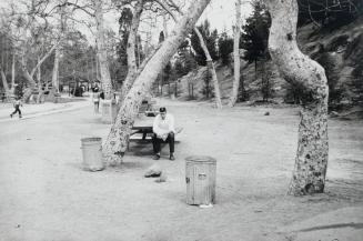 Picnic Ground, Glendale, California