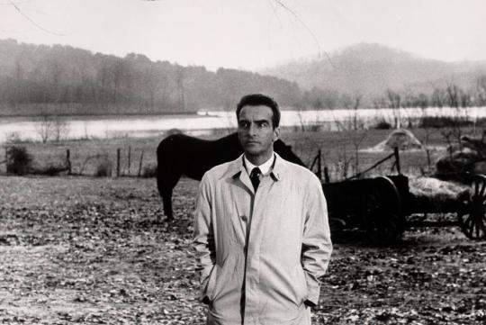 Montgomery Clift