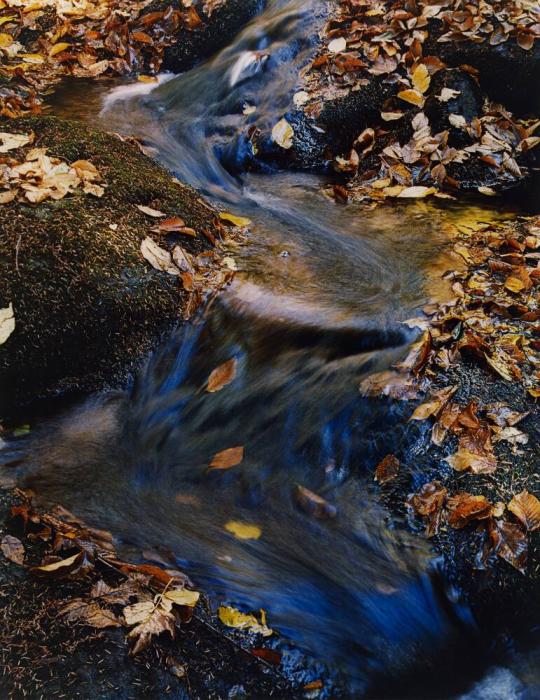 Puffer Pond Brook, Warren County, Adirondack Park, New York