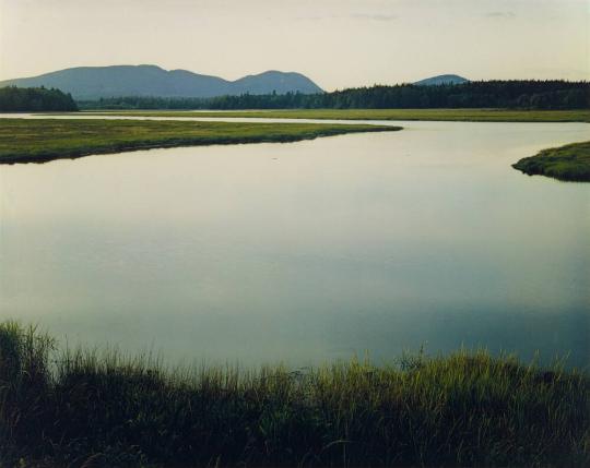 Tidal marsh, Mount Desert Island, Maine