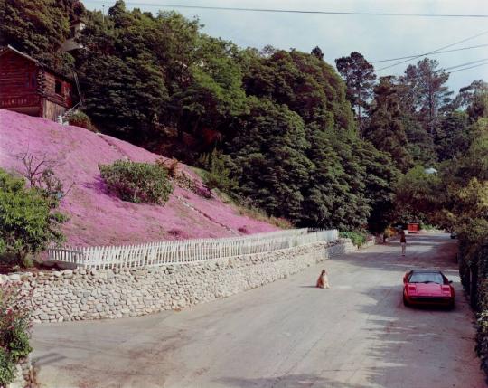 Rustic Canyon, Santa Monica, California, May 1979