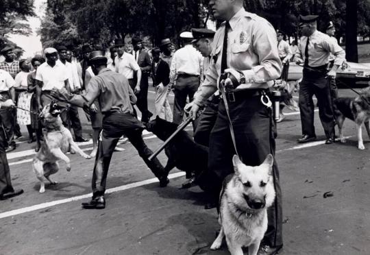 Police Dog Attack, Birmingham