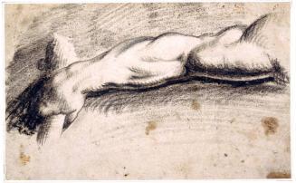 Study of a Male Arm