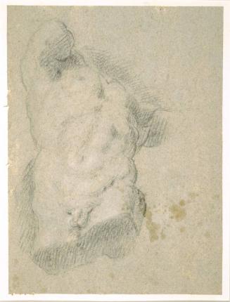 Study of a Male Torso