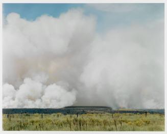 Controlled Burn, High Island, Texas