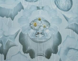 Chrysanthemum Blossoms in Lalique Bowl, Mill Valley, California