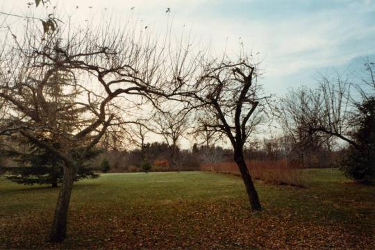 Planting Fields Arboretum, Oyster Bay, NY (1063/9-10), All Works