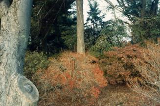 Planting Fields Arboretum, Oyster Bay, NY (1075/5-7)