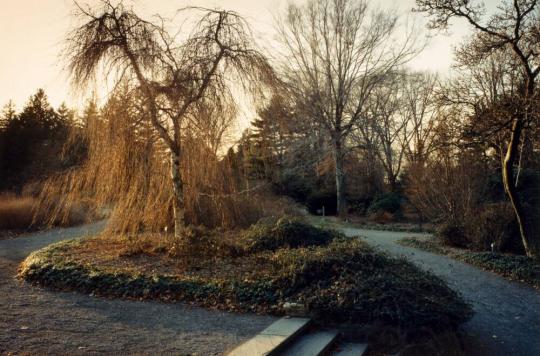 Planting Fields Arboretum, Oyster Bay, NY(1088/5-11)