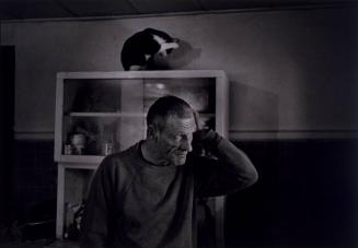 Lee Neugent / Cat