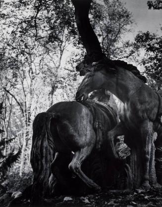 The Horses, Grove of Apollo, Versailles, France