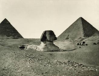 [The Sphinx and the Pyramids]
