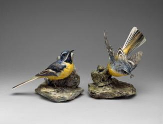 Pair of British Grey Wagtails