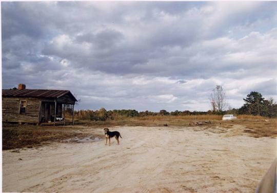 Near Extinct Wannalaw Plantation, Mississippi