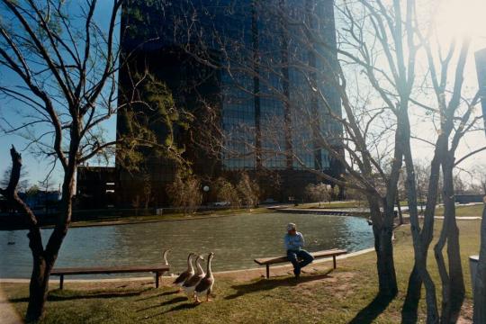 The Lake on Post Oak