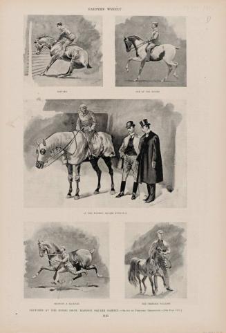 Sketches at the Horse Show, Madison Square Garden