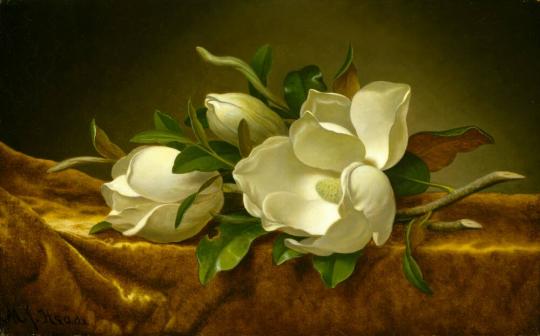 Magnolias on Gold Velvet Cloth