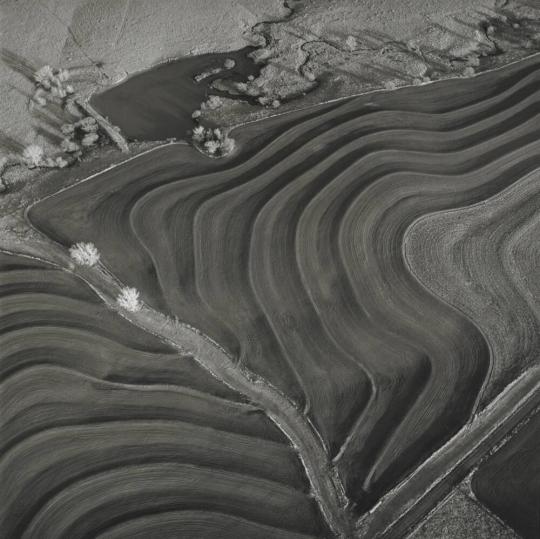 Terraced Plowing & Grass Waterway, Saline County, Kansas