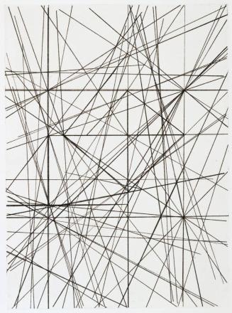 Vernetzte Fläche (Entangled Plane)