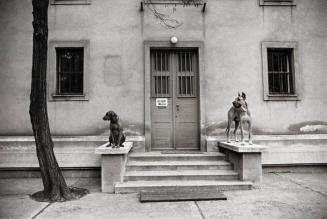 Guard Dogs, Budapest