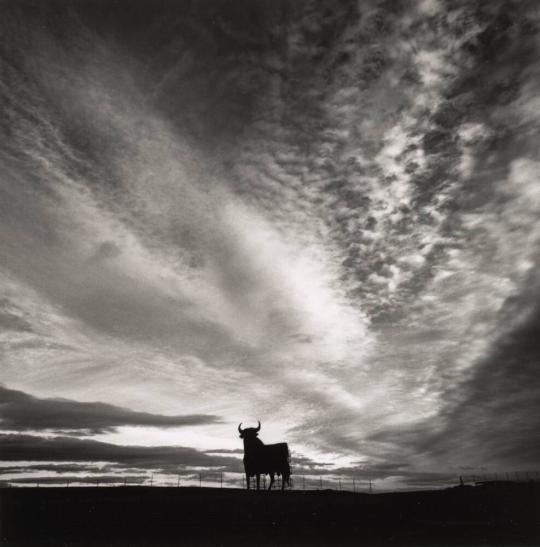 Michael Kenna 