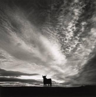 El Toro, Madridejos, La Mancha, Spain