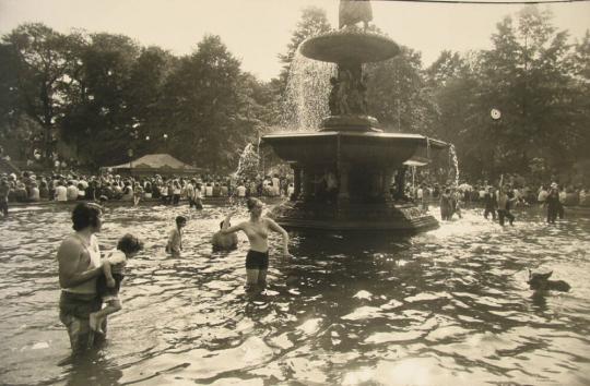 Central Park, New York