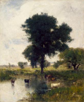 Cattle in Pool (A Summer Landscape)