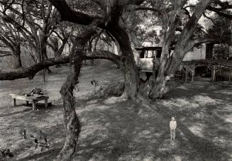 Amy Deanna Gant, Old Mound House, Maringouin, Louisiana
