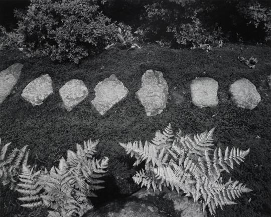 Stepping Stones leading to the Shokatei