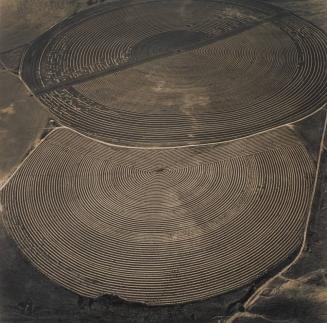 Agricultural Pivots on the Snake River Plain near the Confluence of the Snake and Columbia Rivers, Washington