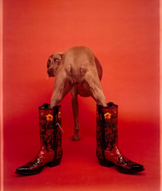 Fay Ray in Custom Boots