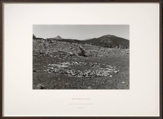 Richard Long 