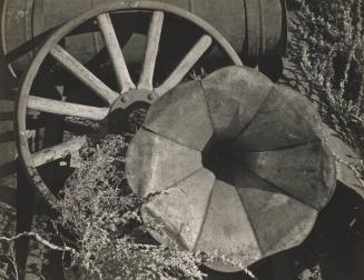 Old Wheel and Phonograph Horn, Owens Valley, California