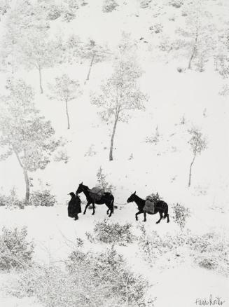 Umbria