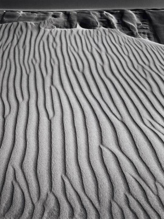 Sand Dunes, Oceano, California