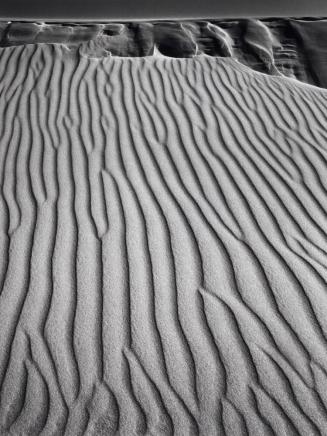 Sand Dunes, Oceano, California