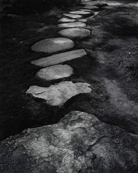 Stepping Stones leading from the Cycad Hill to the Waiting Bench