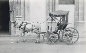 Horse-drawn Carriage