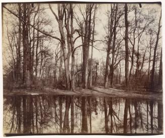 Saint-Cloud (gardens of the chateau of Philippe Duc d'Orleans)