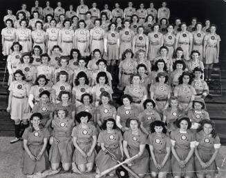 The Women's Professional Baseball League:  Fort Wayne Daisies, South Bend Blue Sox, Kenosha Comets, Grand Rapids Chicks, Rockford Peaches, and Racine Bells