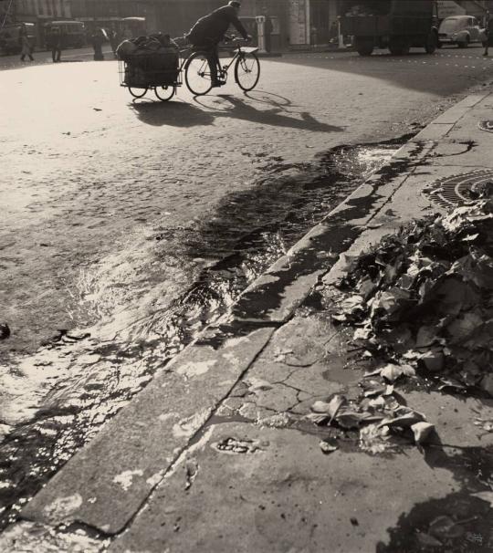 [Puddle of Water, Paris]