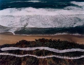 Wave, Lave, Lace, Pescadero Beach, California