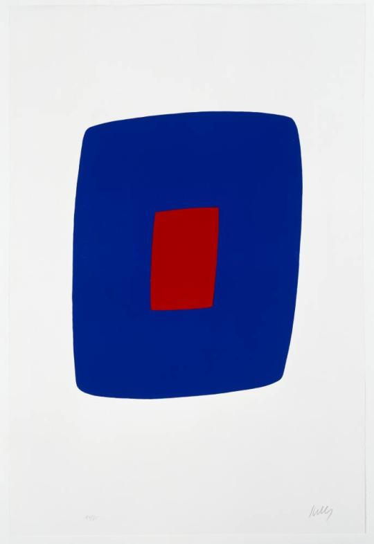 Bleu Foncé avec Rouge (Dark Blue with Red)