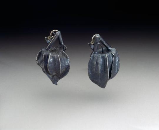 Pair of Earrings