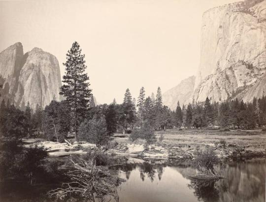 Carleton E. Watkins