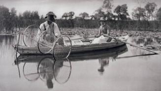 Setting the Bow-Net