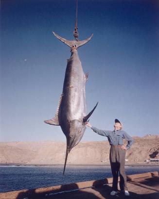Alfred Glassell and the largest marlin ever caught on a handheld rod. It weighed 1,560 lbs. and is on view today at the Smithsonian Institution.