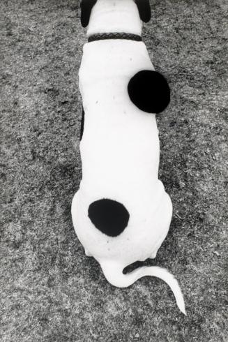Untitled (dog with black spots)